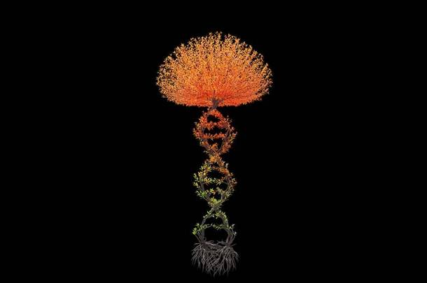 树型为DNA链状。黑色背景的季节变换。生态概念。3D渲染.