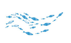 白色的鱼群的轮廓。水彩画
