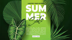 热带树叶背景的夏季销售横幅。病媒图解