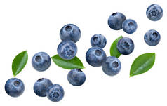 新鲜的有机蓝莓。蓝莓在白色背景上被隔离。蓝莓种植路径.