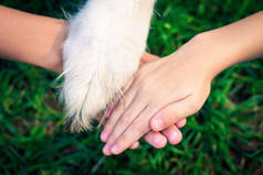 在绿草模糊的背景下，孩子们的手拉手和狗爪紧紧地粘在一起。孩子对宠物和友谊的爱的概念。动物保护日。被投掷的图像.