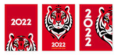 New Year 2022 illustration set. Tiger head with decorative elements. Illustrations with symbol chine