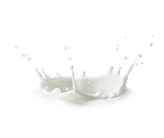 Milk crown splash, splatters and white milky drops, realistic vector. Milk splash flow or cream drin