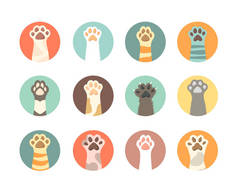 猫爪子收集。家养动物的脚印上有猫咪宠物的符号。猫的病媒扁平身体部位