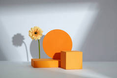 橙色圆形和正方形讲台，白色背景的花朵，用于广告、前景、抽象内容