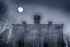 光谱城堡晚上与完整的月亮的天空水平图像