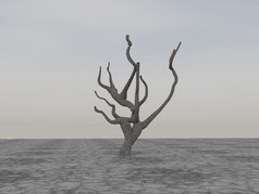 孤独的死树沙漠呈现