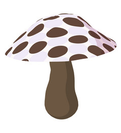 波尔卡虚线蘑菇白色背景