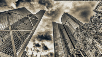 摩天大楼在香港香港摩天大楼在香港香港