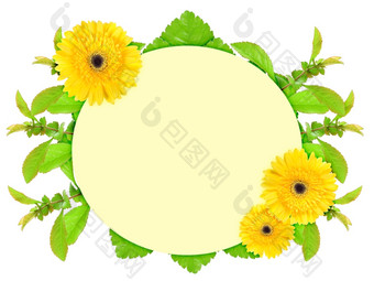 花椭圆框架与黄色的花而且绿色叶自然艺术点缀模板为你的设计孤立的白色背景特写镜头工作室摄影