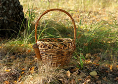 秋天徒步旅行的森林小柳条棕色（的）空篮子下一个的篮子大刀为切割蘑菇