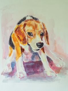 水彩绘画可爱的小猎犬号狗有趣的构成白色纸