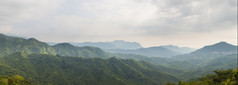 全景森林而且山山而且树的野生长范围