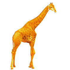 黄色的长颈鹿孤立的白色背景