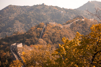 伟大的墙中国秋天墙在的树木繁茂的山