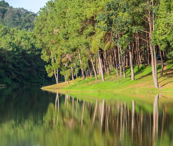 风景优美的视图松树与湖庞oung宁静湖谷与包围山范围美在香港儿子泰国