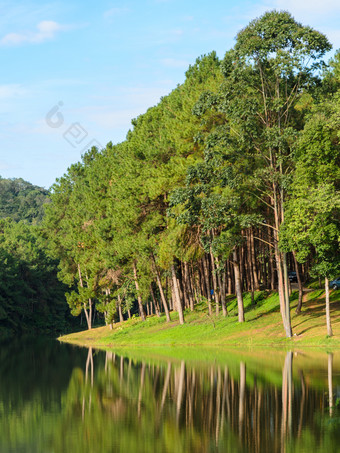 风景优美的视图松树与湖庞oung宁静湖谷与包围山范围美在香港儿子泰国