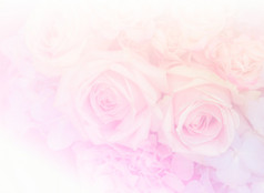 花束粉红色的玫瑰花软颜色背景