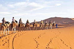 骆驼商队会通过的沙子沙丘的撒哈拉沙漠沙漠摩洛哥