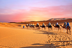 骆驼商队会通过的沙子沙丘的撒哈拉沙漠沙漠摩洛哥日落