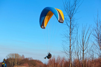 3月的海岸的波罗的海海加里宁格勒州俄罗斯滑翔<strong>伞</strong>以上的树滑翔<strong>伞</strong>苍蝇在的森林滑翔<strong>伞</strong>以上的树滑翔<strong>伞</strong>苍蝇在的森林