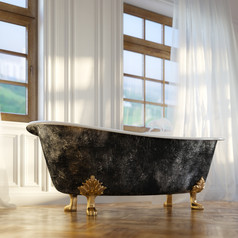 奢侈品复古的浴缸现代房间室内版本