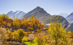 美丽的景观hunza谷秋天季节北部区域巴基斯坦
