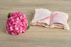 粉红色的绣球花与笔记本和铅笔