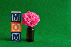 的词妈妈拼写与字母块对绿色背景与粉红色的花