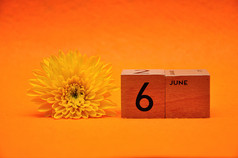 6月木块与黄色的黛西橙色背景