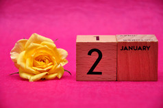 1月木块与黄色的玫瑰粉红色的背景