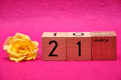 3月木块与黄色的玫瑰粉红色的背景