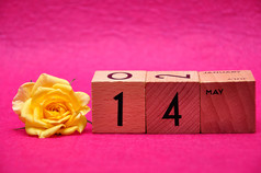 五月木块与黄色的玫瑰粉红色的背景