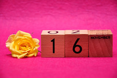 11月木块与黄色的玫瑰粉红色的背景
