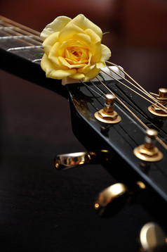 黄色的玫瑰显示与吉他