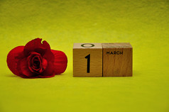 3月木块与红色的花黄色的背景
