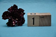 五月木块与紫色的佩妮蓝色的背景