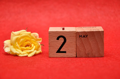 五月木块与黄色的玫瑰红色的背景
