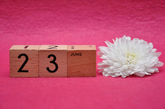 6月木块与白色Aster粉红色的背景
