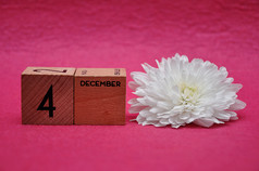 12月木块与白色Aster粉红色的背景
