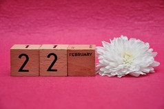 2月木块与白色Aster粉红色的背景