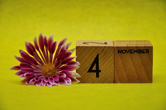 11月木块与粉红色的和白色Aster黄色的背景
