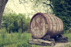 老桶指示的开始葡萄酒区域细葡萄照片古董风格