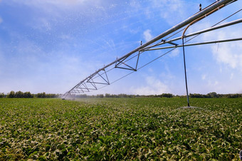 大豆场灌溉主喷水灭火系统系统作物灌溉使用的中心主喷水灭火系统系统