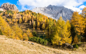 色彩斑斓的秋天早....的山色彩鲜艳的秋天早....山湖色彩斑斓的秋天景观湖borfaglia绿意盎然意大利