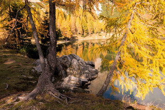 色彩斑斓的秋天早....的山色彩鲜艳的秋天早....山湖色彩斑斓的秋天景观湖borfaglia<strong>绿意</strong>盎然意大利