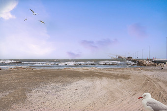 海滩与抛石机的距离利息费拉拉海滩与抛石机的距离费拉拉