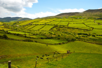美丽的爱尔兰<strong>农村</strong>与翡翠绿色字段和梅多斯<strong>农村</strong>景观