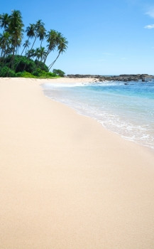 天堂海滩海滩与细白色沙子椰子棕榈树南部省斯里兰卡斯里兰卡亚洲