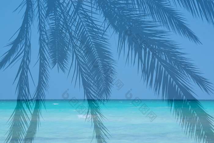 帆伞运动蓝色的海洋棕榈景观绿松石水蓝色的海洋棕榈景观绿松石水和地平线mallorac西班牙